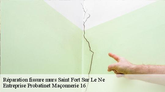 Réparation fissure murs